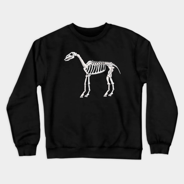 A Skeleton of a Horse Crewneck Sweatshirt by DiegoCarvalho